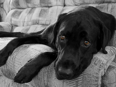 apnoe-i-depressija.jpg apnoe-i-depressija.jpg