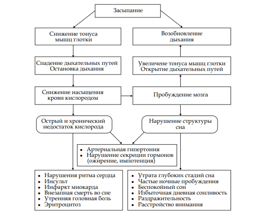 4_4.png Процесс развития апноэ и его последствий
