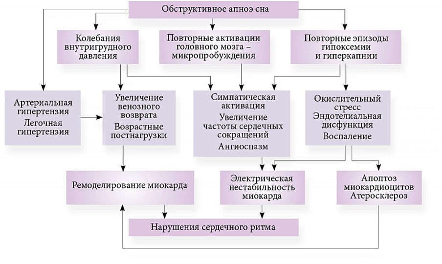 Патологическая взаимосвязь СОАС и сердечно-сосудистых заболеваний Патологическая взаимосвязь СОАС и сердечно-сосудистых заболеваний