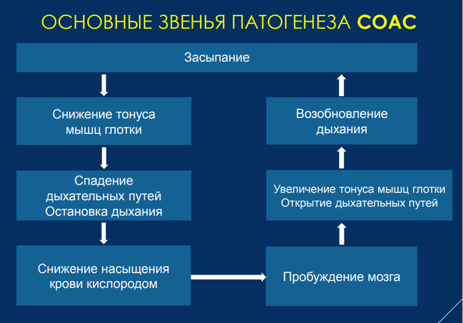 Механизм развития СОАС